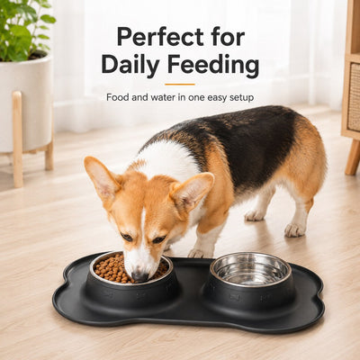 Malloren Spill-Proof Dual Pet Bowl for Cats & Dogs - Mess-Free Food & Water Station for Cleaner Floors