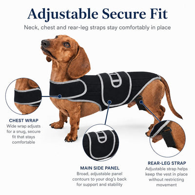 Malloren SpineGuard Dog Back Support Vest for Dachshunds & Corgis - Adjustable Spinal Support Brace for Senior Dogs, Recovery Days & Gentle Walks