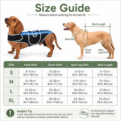 Malloren SpineGuard Dog Back Support Vest for Dachshunds & Corgis - Adjustable Spinal Support Brace for Senior Dogs, Recovery Days & Gentle Walks