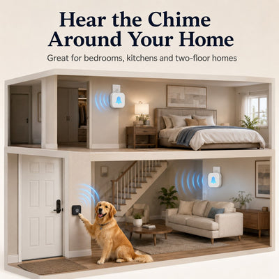 Malloren Wireless Dog Doorbell for Potty Training - Self-Powered Paw Button & Plug-In Chime to Help Dogs Ask to Go Outside