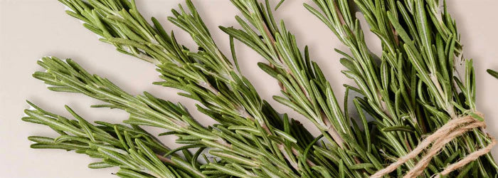 SUDTANA Rosemary Ginger & Sesame Uplifting Body Oil 120ml