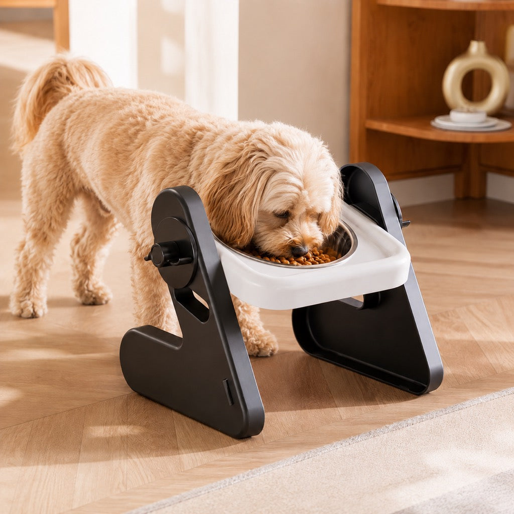 Malloren Adjustable Elevated Stainless Steel Pet Bowls for Cats & Small Dogs - Tilted Feeding Station for Easier Mealtime & Less Floor Mess