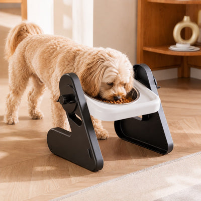 Malloren Adjustable Elevated Stainless Steel Pet Bowls for Cats & Small Dogs - Tilted Feeding Station for Easier Mealtime & Less Floor Mess