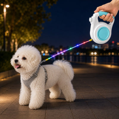 Malloren Rechargeable Light-Up Retractable Dog Leash for Night Walks - Helps Small Dogs Stay Visible & Easy to Control