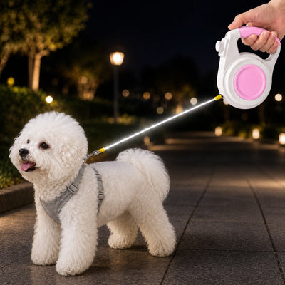 Malloren Rechargeable Light-Up Retractable Dog Leash for Night Walks - Helps Small Dogs Stay Visible & Easy to Control