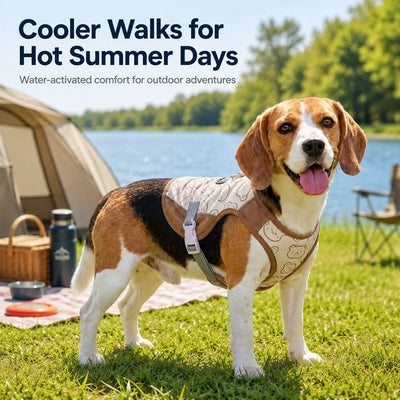 Malloren Water-Activated Dog Cooling Sun Vest for Summer Walks, Camping & Outdoor Heat Relief