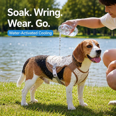 Malloren Water-Activated Dog Cooling Sun Vest for Summer Walks, Camping & Outdoor Heat Relief
