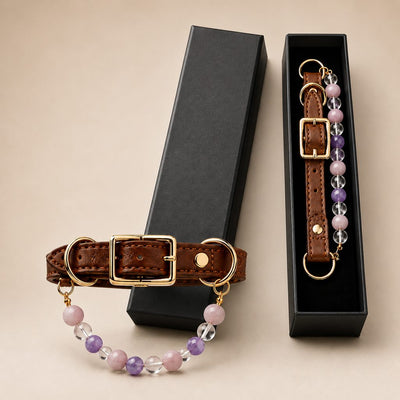 Malloren Four Elements Crystal Pet Collar Gift Box for Cats & Small Dogs - Photo-Ready Astrology Pet Jewelry for Birthdays, Holidays & Meaningful Pet Gifts
