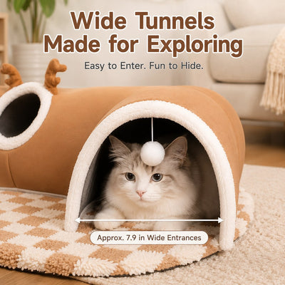 Malloren 3-in-1 Multi-Cat Tunnel Bed & Play Mat for Indoor Cats - Spacious Cozy Hideaway for Shared Rest, Play & Less Bed Competition