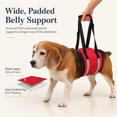 Malloren Reflective Dog Lift Support Sling - Belly Assist for Dogs with Limited Mobility on Stairs, Walks & Car Entry